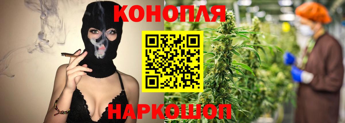 Канабис сатива Уварово